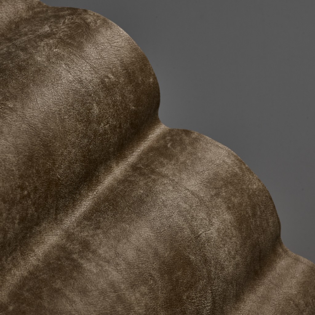 
kiaat-ash-leather_smart-ikhaya_leersmart-